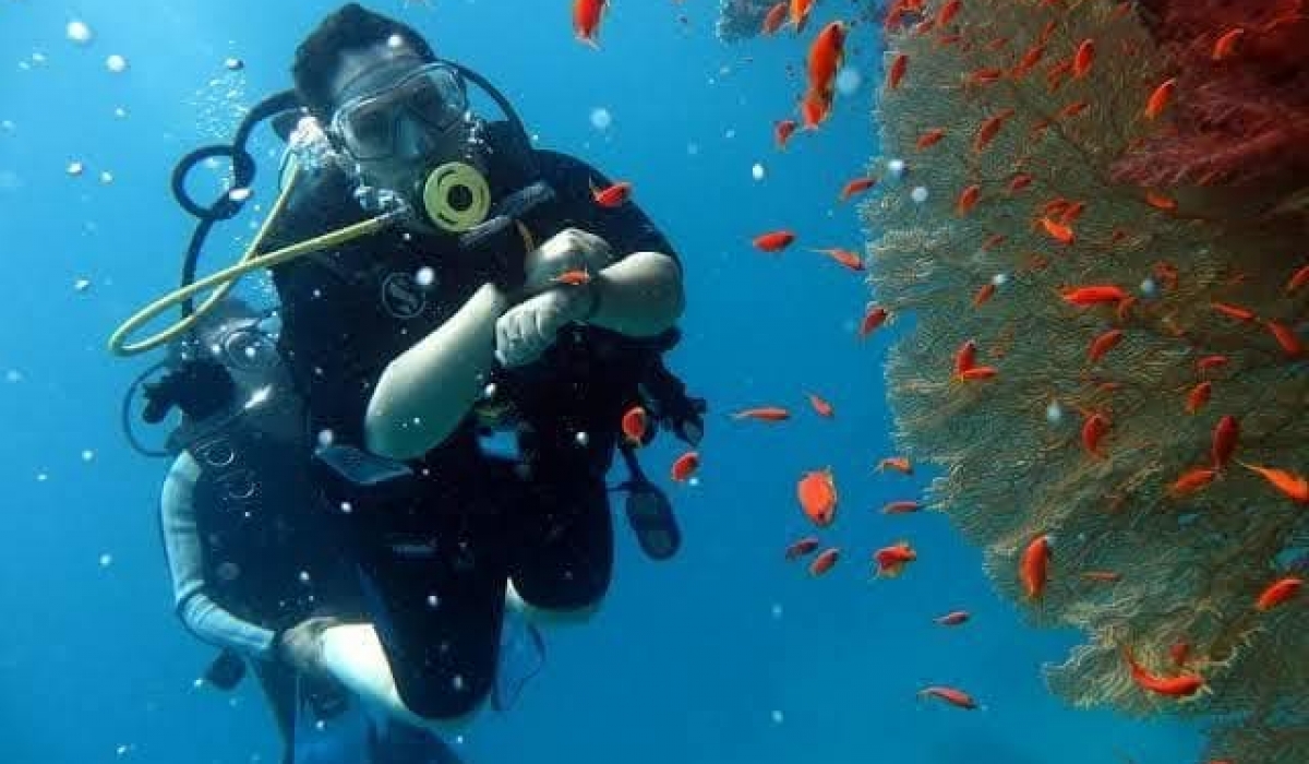 Sharm El Sheikh & Kahire Turu